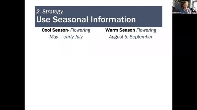 Botany Beginners: Grasses for the Masses - Lesson 1 смотреть онлайн