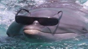 You Laugh You Restart #5 🤡 IMPOSSIBLE MEMES (2025) (memes from hole)