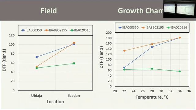 Deborah Ngunengen Oluwasanya: Cassava flowering - contrasting environmental responses смотреть онлайн