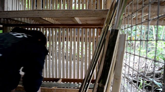 HOW TO MAKE SIMPLE BAMBOO RACK | MORINGA DRUMSTICK FOR DINNER | LIFE IN THE PROVINCE | EPISODE 50 смотреть онлайн