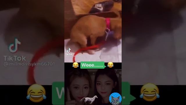 Weeeeee, Самые смешные видео приколы ОТ Смешинки, Виииу смотреть онлайн