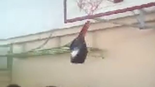 our school's clever children(придурки нашей школы) смотреть онлайн