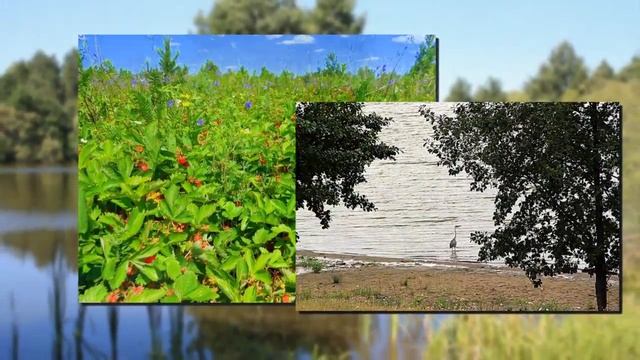 Моя малая Родина - Бондари смотреть онлайн