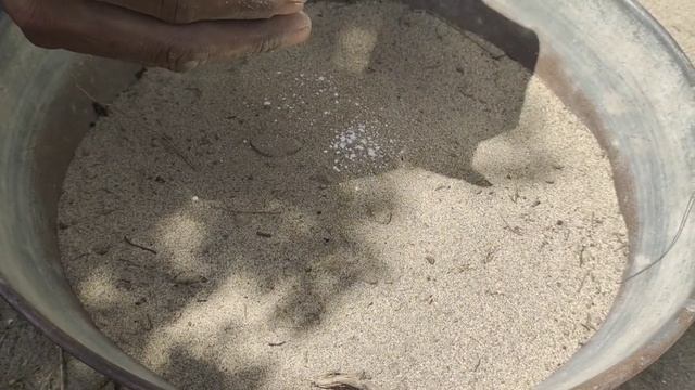 Yeh Kam Shaukeen Bhai Lazmi Kar Len | Agar Birds Se Muhabat Hai To | How to protect birds from lic смотреть онлайн