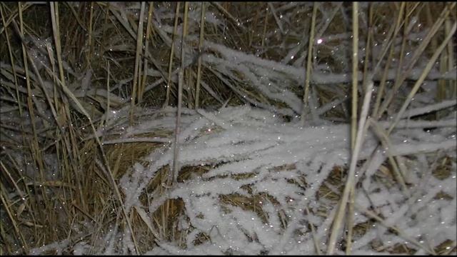 Иеромонах Роман. «Всезнайства ослепляющие блики...» смотреть онлайн