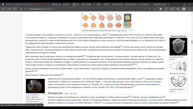 Spiralia Trochozoa смотреть онлайн