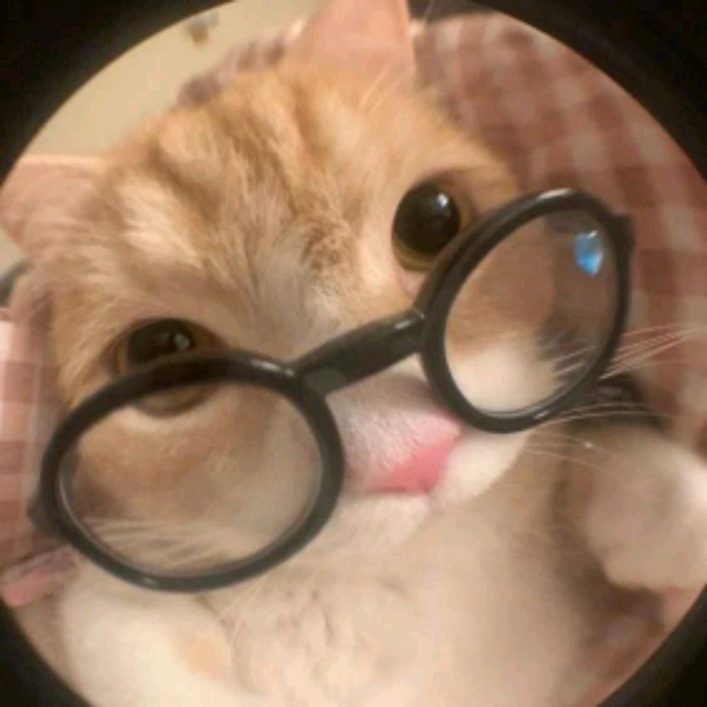 трансляция Вероники плей Тиви смотреть онлайн