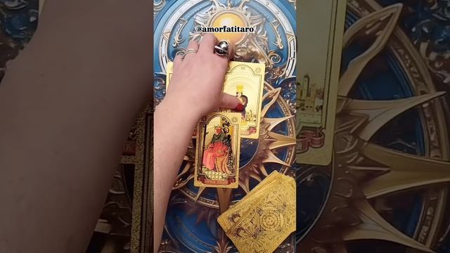 VID_20250217_122317_278.mp4