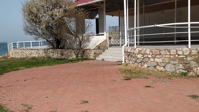 Одуванчики уже есть. 26 марта смотреть онлайн