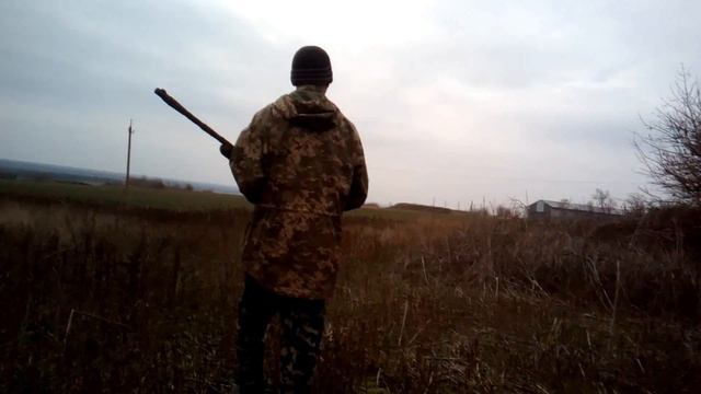 ОХОТА НА ЗАЙЦА С ПНЕВМАТИКОЙ!!!ЕСТЬ ЗАЕЦЬ!!! смотреть онлайн