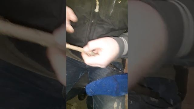 Зимова прививки фундука на медвежий. Покращена куполіровка. смотреть онлайн