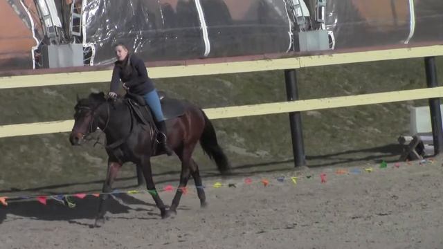 сид на шею смотреть онлайн