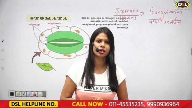 पौधे कैसे सांस लेते हैं | Respiration | Stomata | Transpiration | Evaporation Of Water | DSL смотреть онлайн