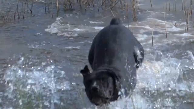 VICTORIA & LOLI смотреть онлайн