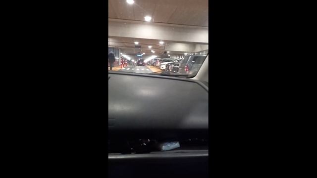 В Енсхеде Нидерланде за рыбой