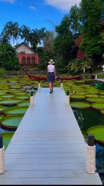 Thailand - Ma Doo Bua Cafe смотреть онлайн