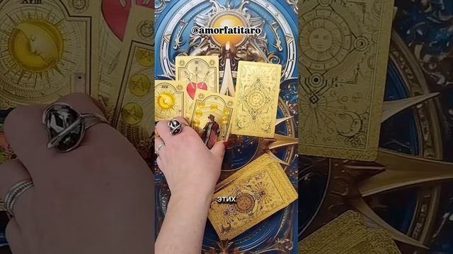 VID_20250217_113420_180.mp4