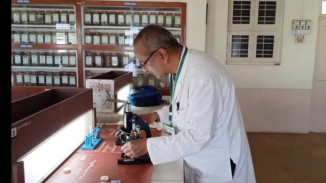 Determination of fibre length in a cinchona powder by Ravindra Kardi KLE college of pharmacy. смотреть онлайн