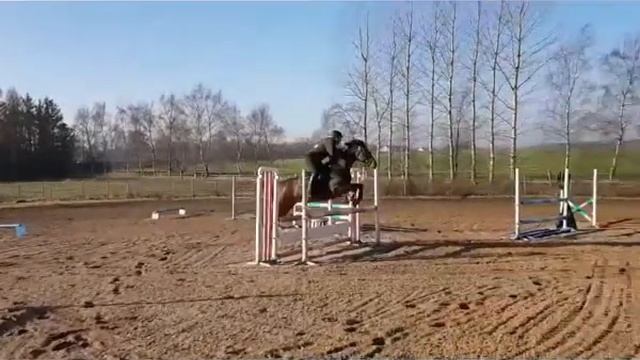 Clementine H. training at home February 2019 смотреть онлайн