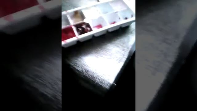 Кубики льда из всего смотреть онлайн