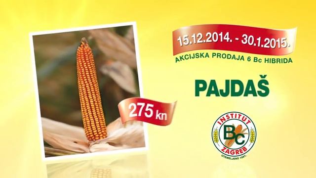 Bc akcija 6 hibrida kukuruza! смотреть онлайн
