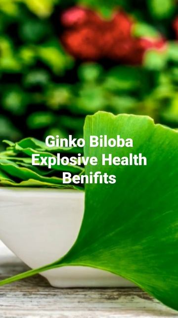 Explosive Benifits Of Ginko Biloba смотреть онлайн