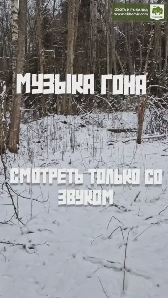 Охота на зайца. + 18 смотреть онлайн