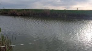 рыбалка 17 апреля Краснодарский край ДГК х Лебеди