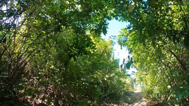 Senen’s Liloan Enduro Trail Race Track w/ Makoy (Dec.11,2020) смотреть онлайн