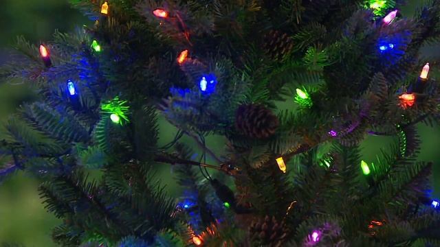 ED On Air Santa's Best Rustic Spruce Tree by Ellen DeGeneres on QVC смотреть онлайн