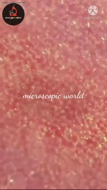 microscopic view🙂🙂🙂 of my hand✋✋ #shortvideo #shorts #youtubeshorts #status смотреть онлайн