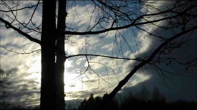 Иеромонах Роман. «День скорби моея! День очищенья...» смотреть онлайн