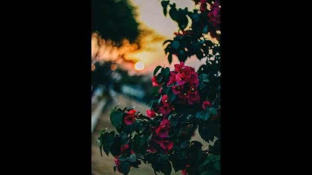 Hello Spring смотреть онлайн