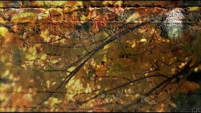 Черный кофе Листья - С ветки падающий лист (миньон 1987) (Переступи порог -переиздание 1996). смотреть онлайн