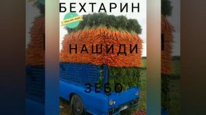 🍀Бехтарин Нашиди Точики 2020 Бо Садои Кори Алишер 🍀