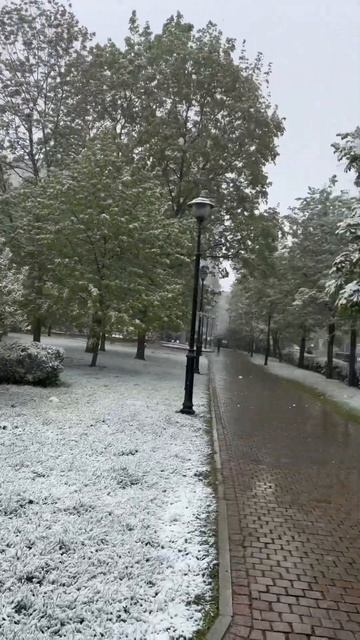 8 мая 2024 в Москве выпал снег смотреть онлайн