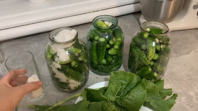 Квашені/Солені/Бочкові ОГІРКИ на зиму! Заливаю кипʼятком смотреть онлайн