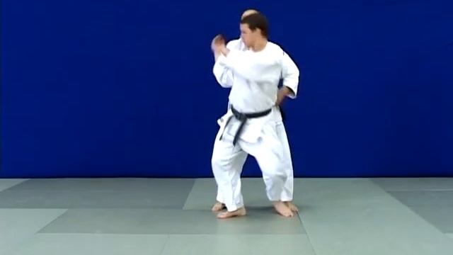 Квалификационные требования в Дзюдо для аттестации на жёлтый пояс ( 5-й кю )