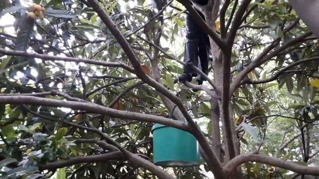 Вартан Батумский - Vartan Batumski смотреть онлайн