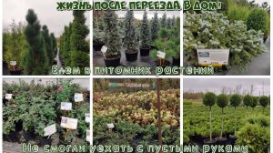 #51 ЕДЕМ В ПИТОМНИК РАСТЕНИЙ! Не смогли уехать с пустыми руками 🌱 ЖИЗНЬ ПОСЛЕ ПЕРЕЕЗДА В ДОМ! 🏠