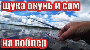 Рыбалка на спиннинг с берега на щуку, окуня и сома.