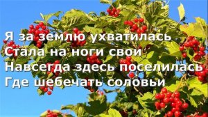 ОЙ КАЛИНА ОХ МАЛИНА Караке под Баян