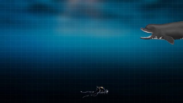 PREHISTORIC WHALE SIZE COMPARISON - PLANET BIRU CHANNEL смотреть онлайн