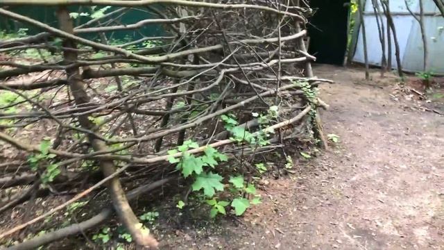 Владимир Сапожников на отдыхе в поселке Сосны смотреть онлайн