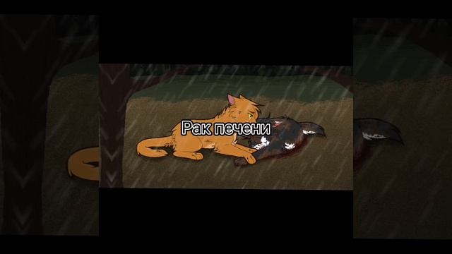 Смерти котов воителей! Не хэйтить если фото не то. (Видео моё) смотреть онлайн