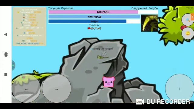 Fly or Die.io смотреть онлайн
