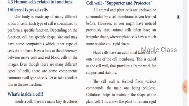 Online class for samacheer 7th science | cell biology term 2 in tamil | plant cell and animal cell смотреть онлайн