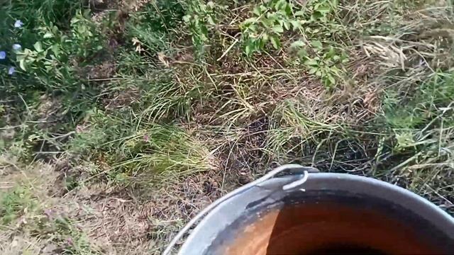 собираю репис