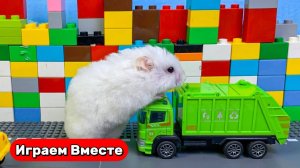 Вместе с Хомяком выбирается из сложного лабиринта с ловушками ! Видео для детей ! Умный Хомяк !