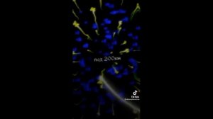 ♡Футажи из ТикТока ♡ берегите глазки ♡ взяты чисто из ТикТока ♡ ^^ приятного просмотра ^^